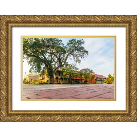 City Hall Gold Ornate Wood Framed Art Print with Double Matting by Malone, Will