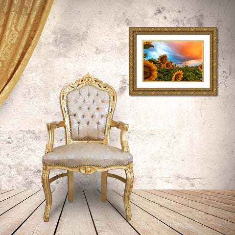 Denver Downs Sunrise Gold Ornate Wood Framed Art Print with Double Matting by Malone, Will