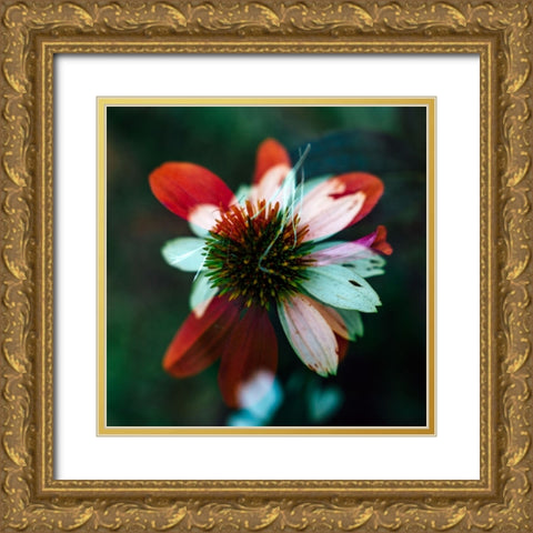 A New Flower Square? Gold Ornate Wood Framed Art Print with Double Matting by Malone, Will