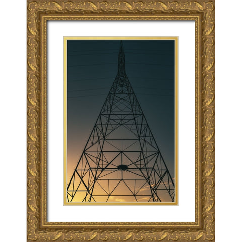 Alabama Lines Gold Ornate Wood Framed Art Print with Double Matting by Malone, Will