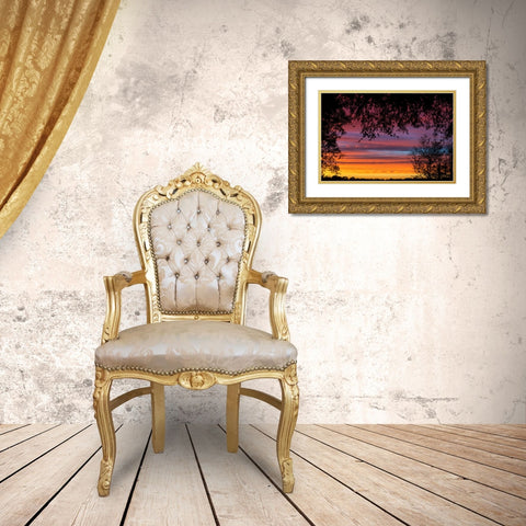Backyard Sun Gold Ornate Wood Framed Art Print with Double Matting by Malone, Will