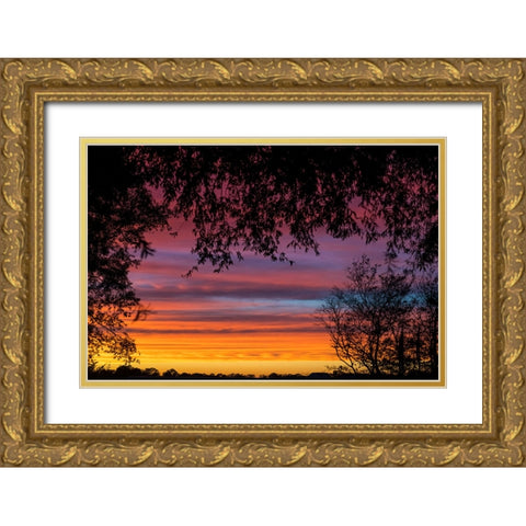 Backyard Sun Gold Ornate Wood Framed Art Print with Double Matting by Malone, Will