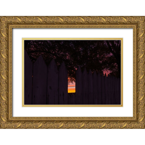 Backyard Sun 2 Gold Ornate Wood Framed Art Print with Double Matting by Malone, Will