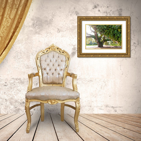 Big Oak 2 Gold Ornate Wood Framed Art Print with Double Matting by Malone, Will