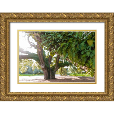 Big Oak 2 Gold Ornate Wood Framed Art Print with Double Matting by Malone, Will
