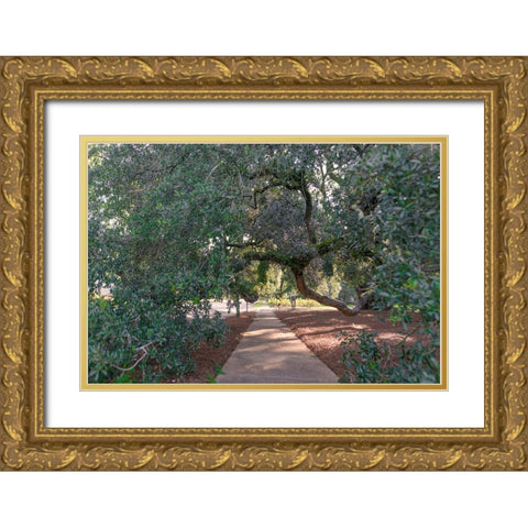 Big Oak 3 Gold Ornate Wood Framed Art Print with Double Matting by Malone, Will