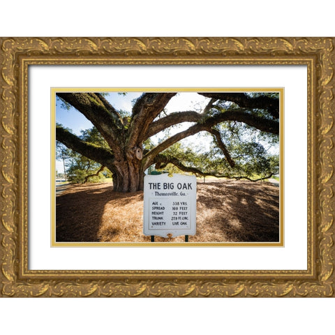 Big Oak 6 Gold Ornate Wood Framed Art Print with Double Matting by Malone, Will