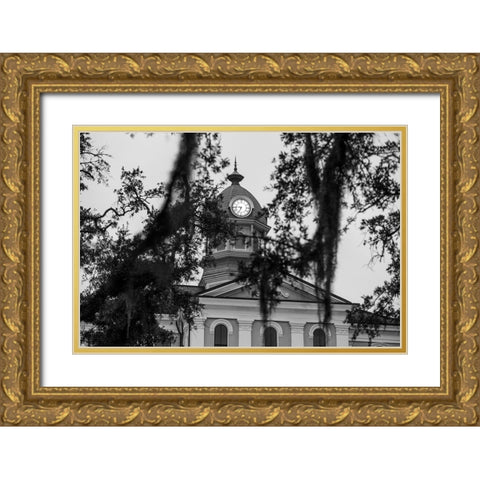 Courthouse Morning 3 Gold Ornate Wood Framed Art Print with Double Matting by Malone, Will