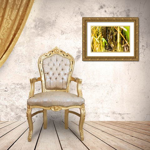 Deer at Rest Gold Ornate Wood Framed Art Print with Double Matting by Malone, Will
