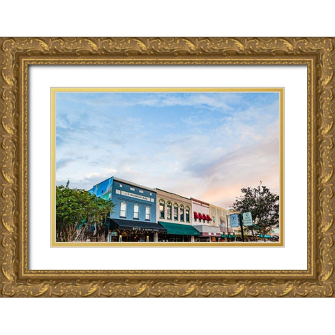 Downtown Deland Gold Ornate Wood Framed Art Print with Double Matting by Malone, Will