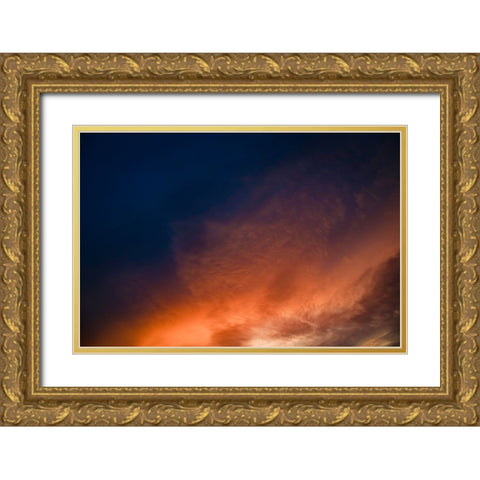 Saharan Sunset Gold Ornate Wood Framed Art Print with Double Matting by Malone, Will