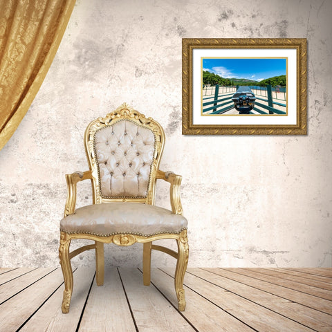 Scenic Lake Lure Gold Ornate Wood Framed Art Print with Double Matting by Malone, Will