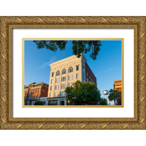 Thomasville Morning Gold Ornate Wood Framed Art Print with Double Matting by Malone, Will