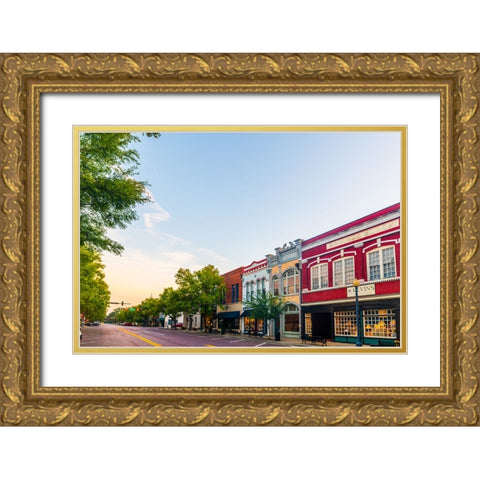 Thomasville Morning 3 Gold Ornate Wood Framed Art Print with Double Matting by Malone, Will