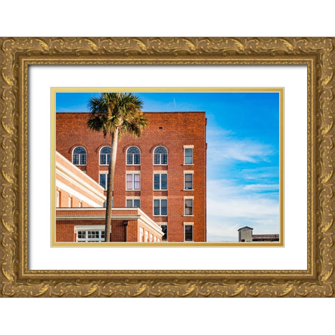 Thomasville Strip 2 Gold Ornate Wood Framed Art Print with Double Matting by Malone, Will
