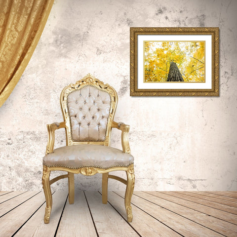 Yellow 2B Gold Ornate Wood Framed Art Print with Double Matting by Malone, Will