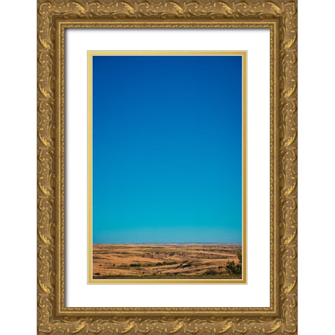 Amarillo Sky Vertical Gold Ornate Wood Framed Art Print with Double Matting by Malone, Will
