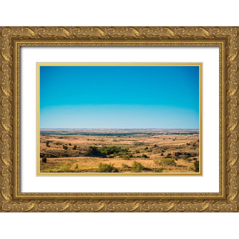 Amarillo Sky Gold Ornate Wood Framed Art Print with Double Matting by Malone, Will