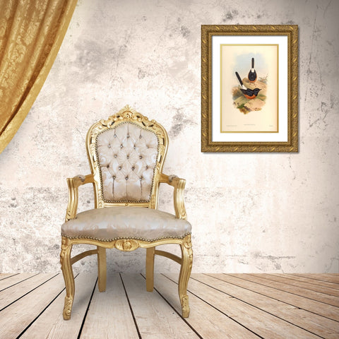 Copsychus Suavis Gold Ornate Wood Framed Art Print with Double Matting by CAG