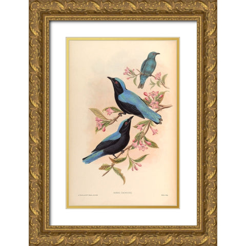 Irena Criniger Gold Ornate Wood Framed Art Print with Double Matting by CAG