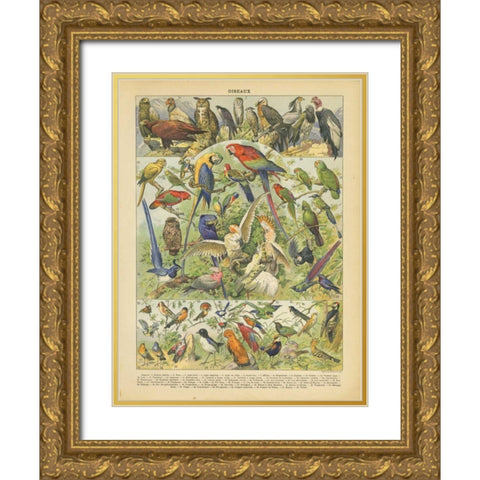 Oiseaux II Gold Ornate Wood Framed Art Print with Double Matting by Babbitt, Gwendolyn