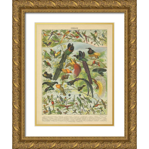Oiseaux III Gold Ornate Wood Framed Art Print with Double Matting by Babbitt, Gwendolyn