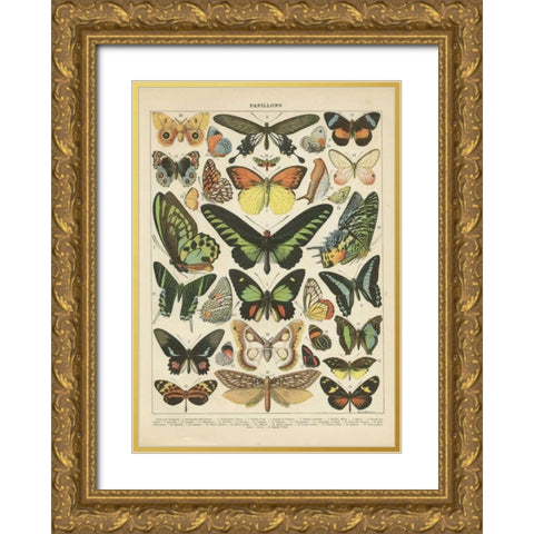 Papillons II Gold Ornate Wood Framed Art Print with Double Matting by Babbitt, Gwendolyn