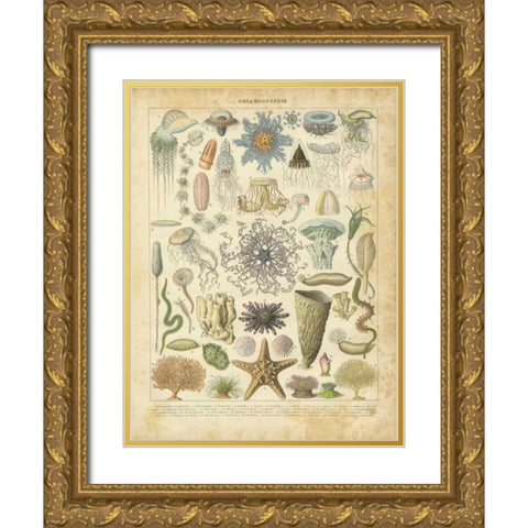 Oceanographie Gold Ornate Wood Framed Art Print with Double Matting by Babbitt, Gwendolyn