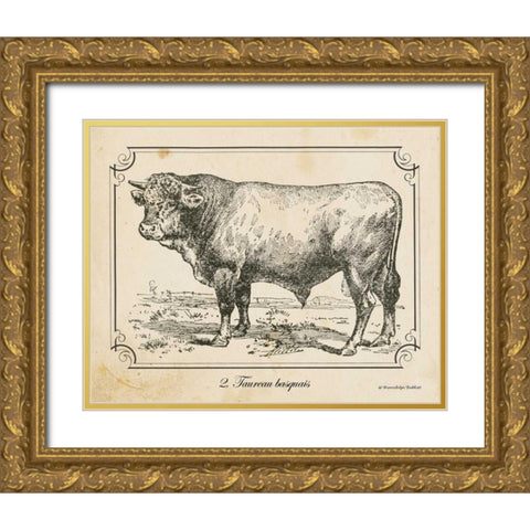 Farm Bull II Gold Ornate Wood Framed Art Print with Double Matting by Babbitt, Gwendolyn