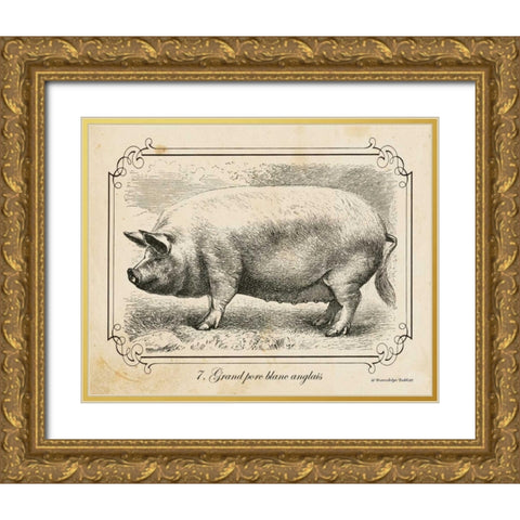 Farm Pig II Gold Ornate Wood Framed Art Print with Double Matting by Babbitt, Gwendolyn