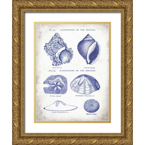 Indigo Shells I Gold Ornate Wood Framed Art Print with Double Matting by Babbitt, Gwendolyn