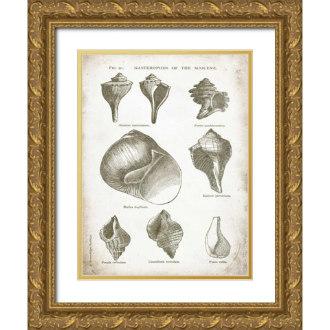 Vintage Shells II Gold Ornate Wood Framed Art Print with Double Matting by Babbitt, Gwendolyn