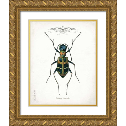Beetle I Gold Ornate Wood Framed Art Print with Double Matting by Babbitt, Gwendolyn