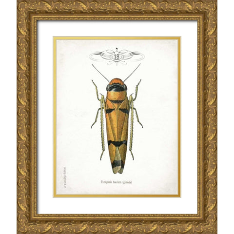 Beetle II Gold Ornate Wood Framed Art Print with Double Matting by Babbitt, Gwendolyn