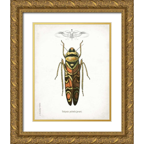 Beetle III Gold Ornate Wood Framed Art Print with Double Matting by Babbitt, Gwendolyn