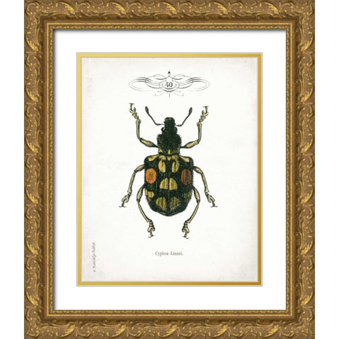 Beetle IV Gold Ornate Wood Framed Art Print with Double Matting by Babbitt, Gwendolyn