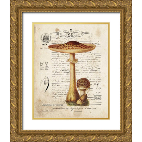 Mushroom I Gold Ornate Wood Framed Art Print with Double Matting by Babbitt, Gwendolyn