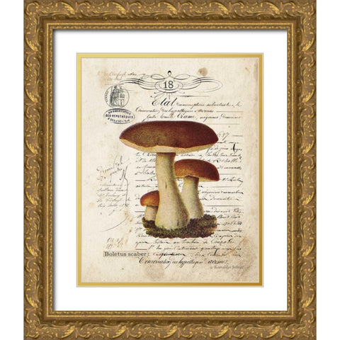 Mushroom II Gold Ornate Wood Framed Art Print with Double Matting by Babbitt, Gwendolyn