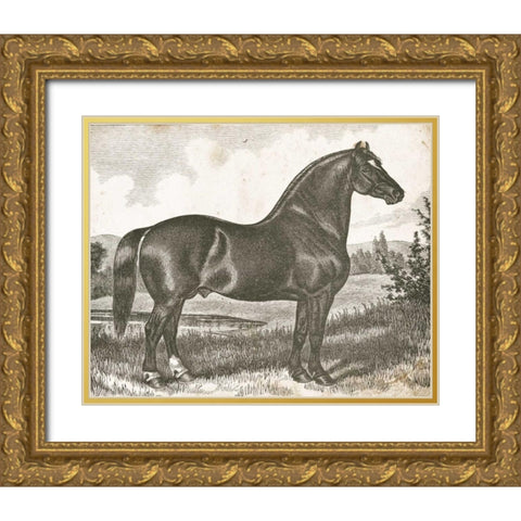 Horse Etching I Gold Ornate Wood Framed Art Print with Double Matting by Babbitt, Gwendolyn