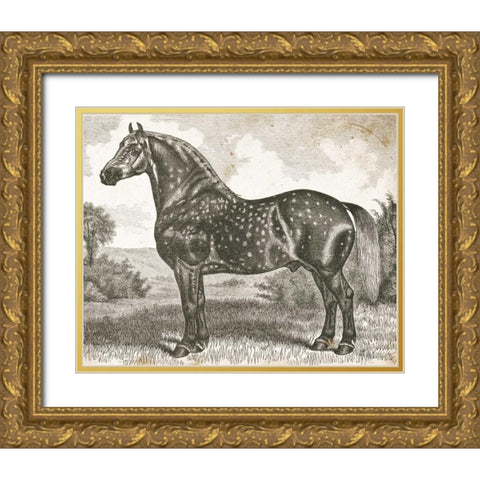 Horse Etching II Gold Ornate Wood Framed Art Print with Double Matting by Babbitt, Gwendolyn