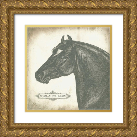 Norman Stallion Gold Ornate Wood Framed Art Print with Double Matting by Babbitt, Gwendolyn