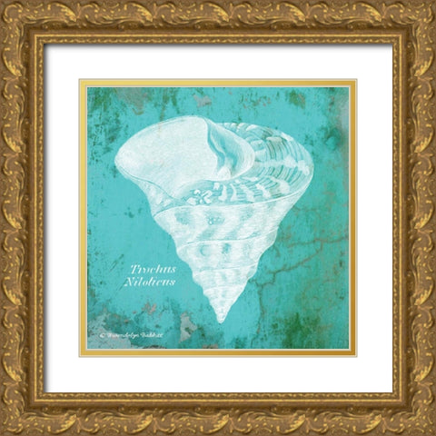 Caribbean Shell I Gold Ornate Wood Framed Art Print with Double Matting by Babbitt, Gwendolyn