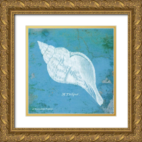 Caribbean Shell II Gold Ornate Wood Framed Art Print with Double Matting by Babbitt, Gwendolyn