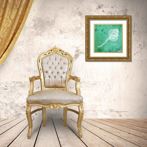 Caribbean Shell III Gold Ornate Wood Framed Art Print with Double Matting by Babbitt, Gwendolyn