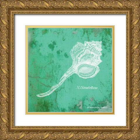 Caribbean Shell III Gold Ornate Wood Framed Art Print with Double Matting by Babbitt, Gwendolyn