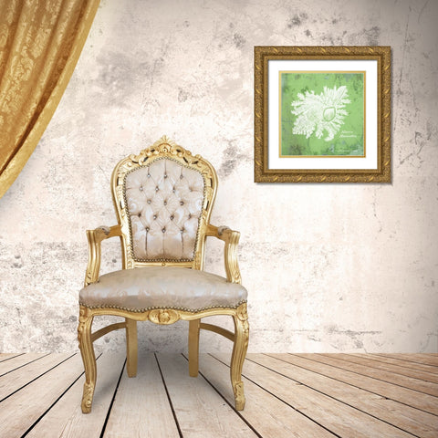 Caribbean Shell IV Gold Ornate Wood Framed Art Print with Double Matting by Babbitt, Gwendolyn