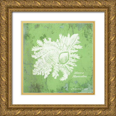 Caribbean Shell IV Gold Ornate Wood Framed Art Print with Double Matting by Babbitt, Gwendolyn