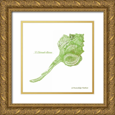 Shell on White IV Gold Ornate Wood Framed Art Print with Double Matting by Babbitt, Gwendolyn