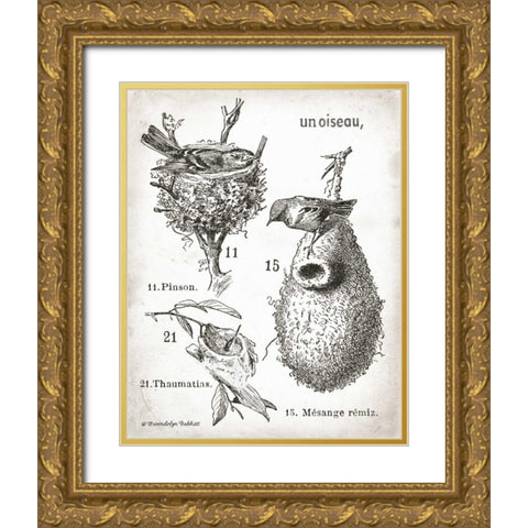 French Birdnests Gold Ornate Wood Framed Art Print with Double Matting by Babbitt, Gwendolyn