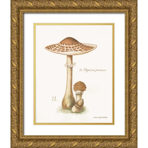 Mushroom I Gold Ornate Wood Framed Art Print with Double Matting by Babbitt, Gwendolyn